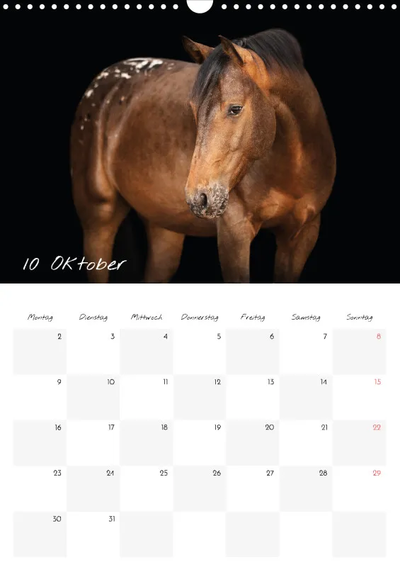 Terminkalender Pferde - pure Eleganz 2023 A3