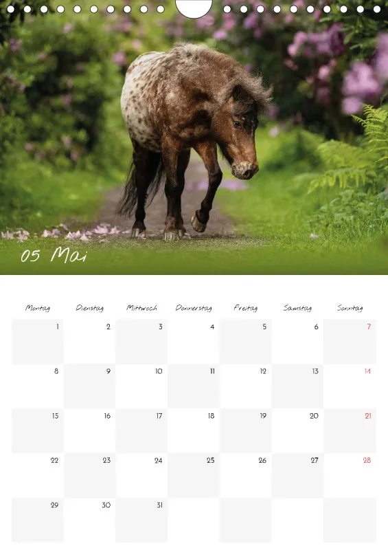 Terminkalender Pferde 2023 A4