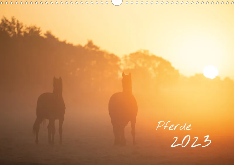Pferde 2023 A3