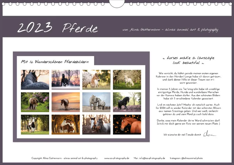 Pferde 2023 A4