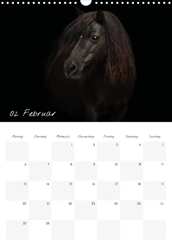 Terminkalender Pferde - pure Eleganz 2023 A3
