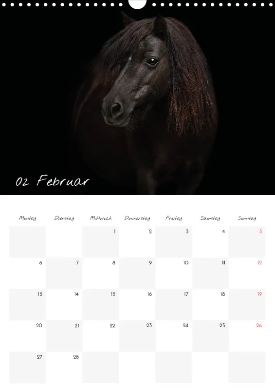 Terminkalender Pferde - pure Eleganz 2023 A3