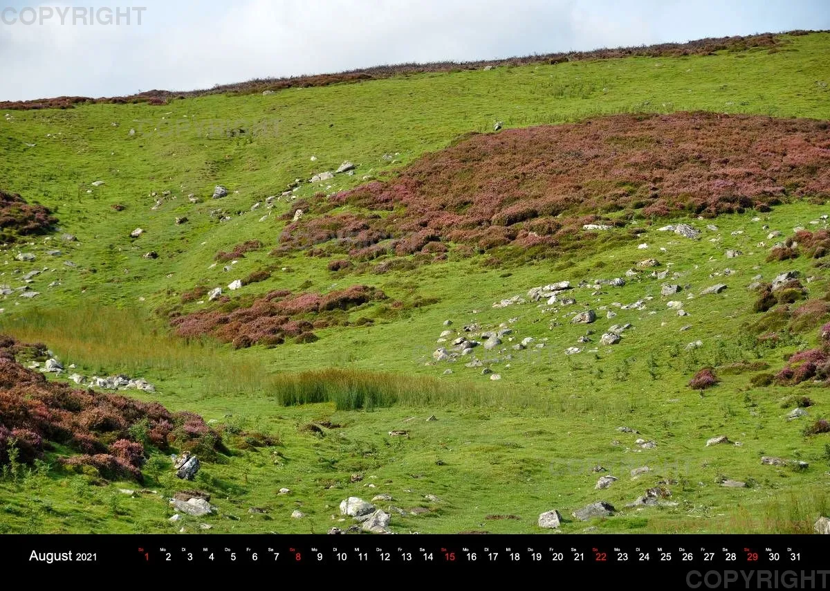 Wensleydale Impressions 2021 (Deutsch)