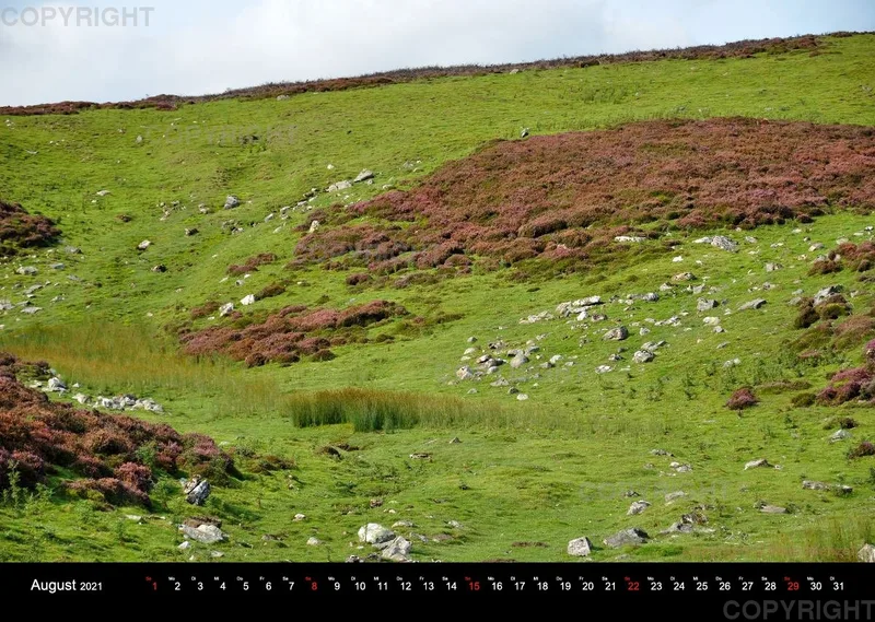Wensleydale Impressions 2021 (Deutsch)