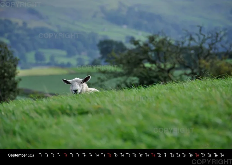Yorkshire Dales 2021 (English)