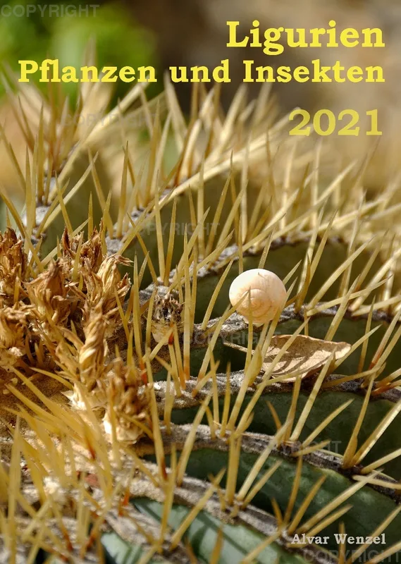 Ligurien - Pflanzen und Insekten 2021 (Deutsch)