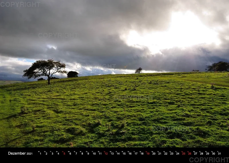 Yorkshire Dales - Wensleydale 2021 (Deutsch)