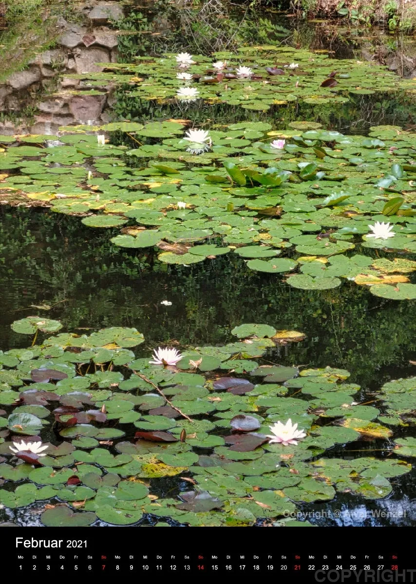 Rheinsberg Hochformat 2021 (Deutsch)