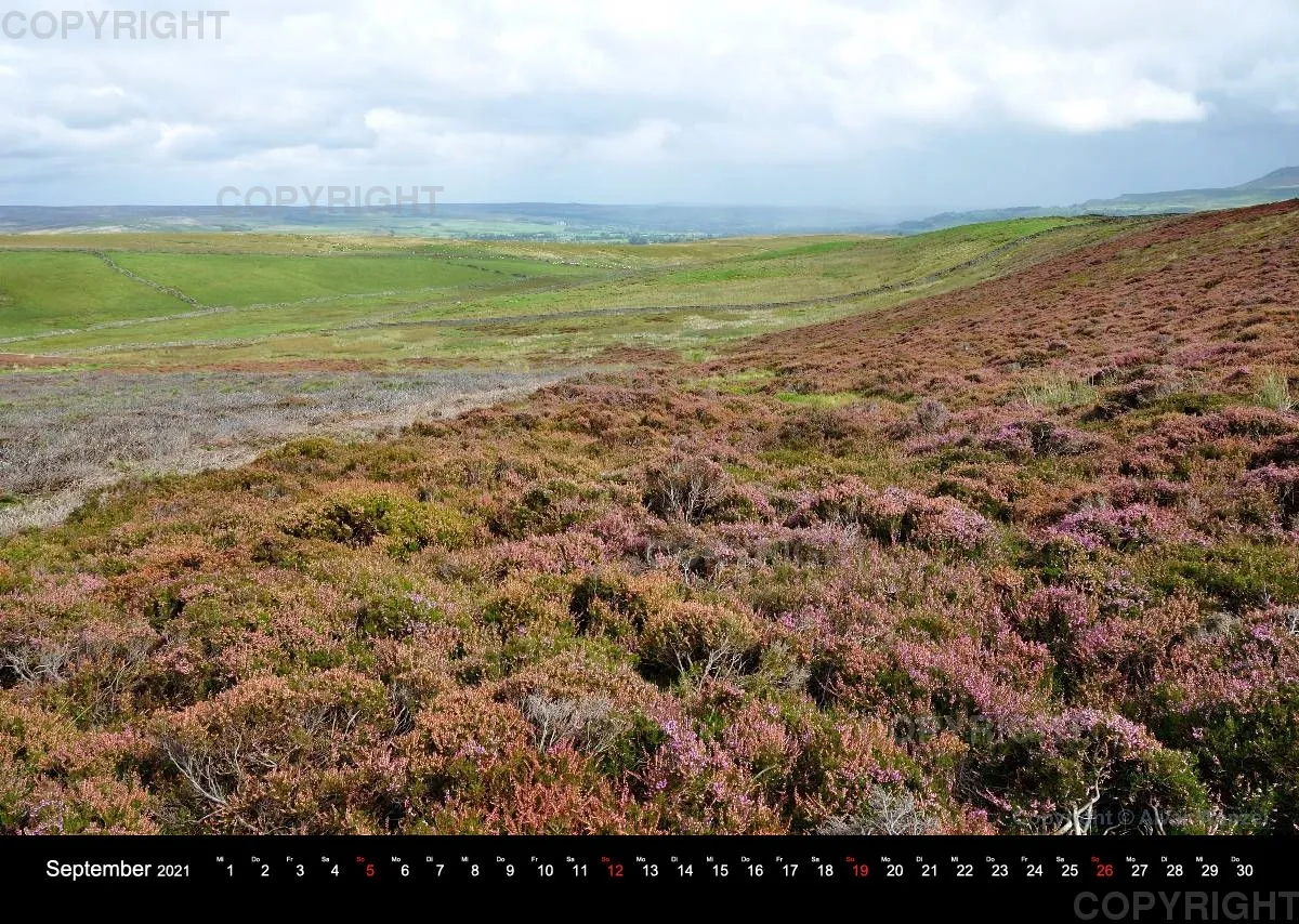 Yorkshire Dales - Wensleydale 2021 (Deutsch)