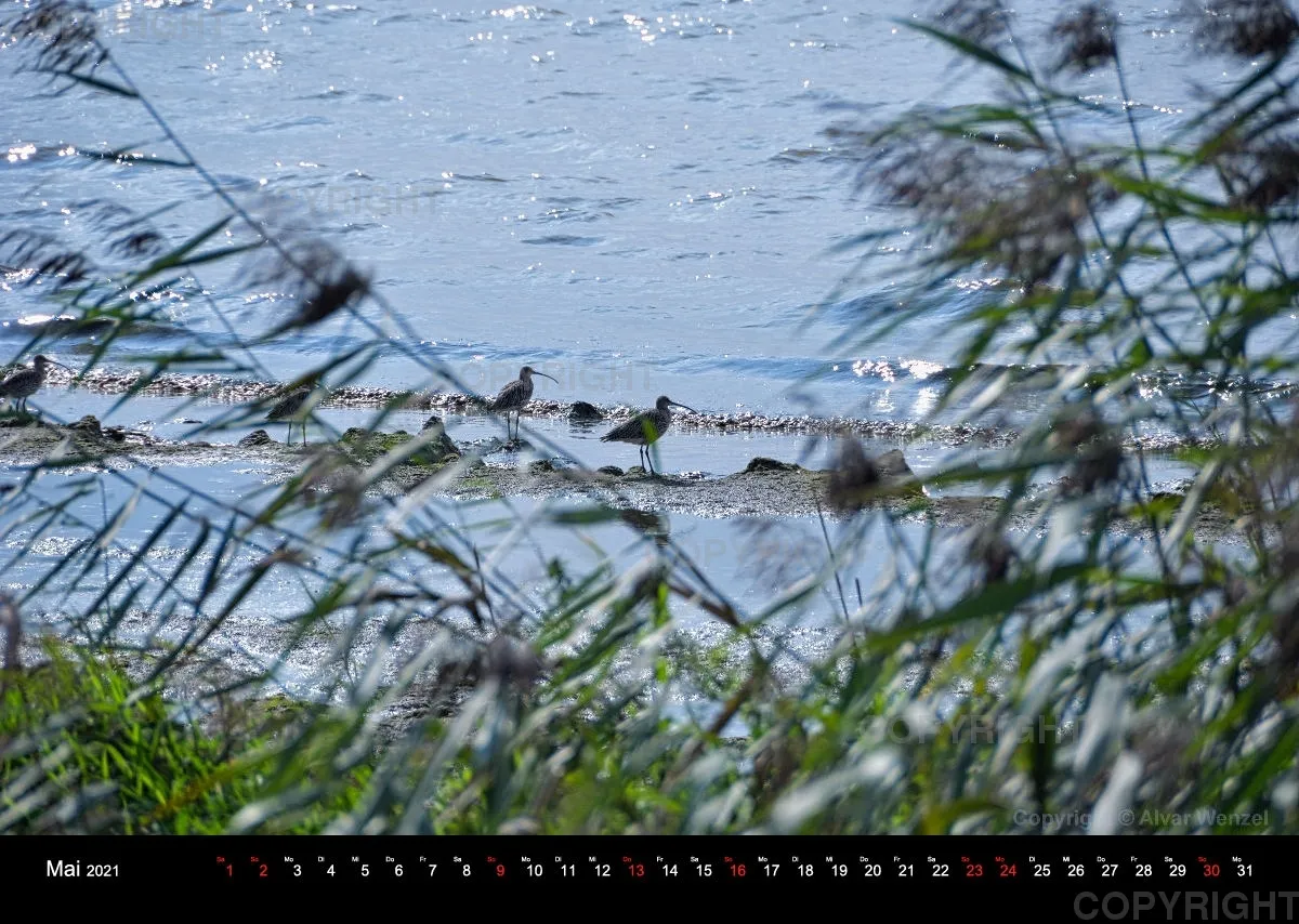 Bodensee Querformat 2021 (Deutsch)