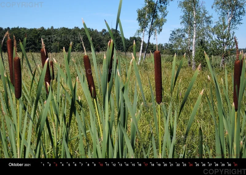 Rheinsberg Querformat 2021 (Deutsch)