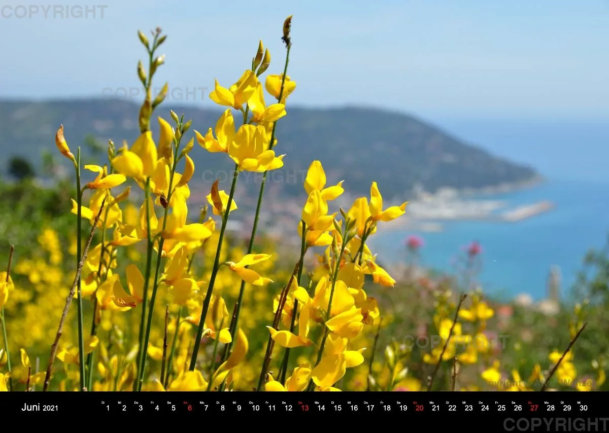Laigueglia 2021 (Deutsch)