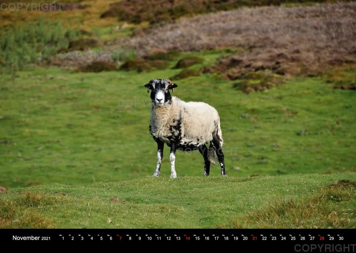 Yorkshire Dales 2021 (Deutsch)