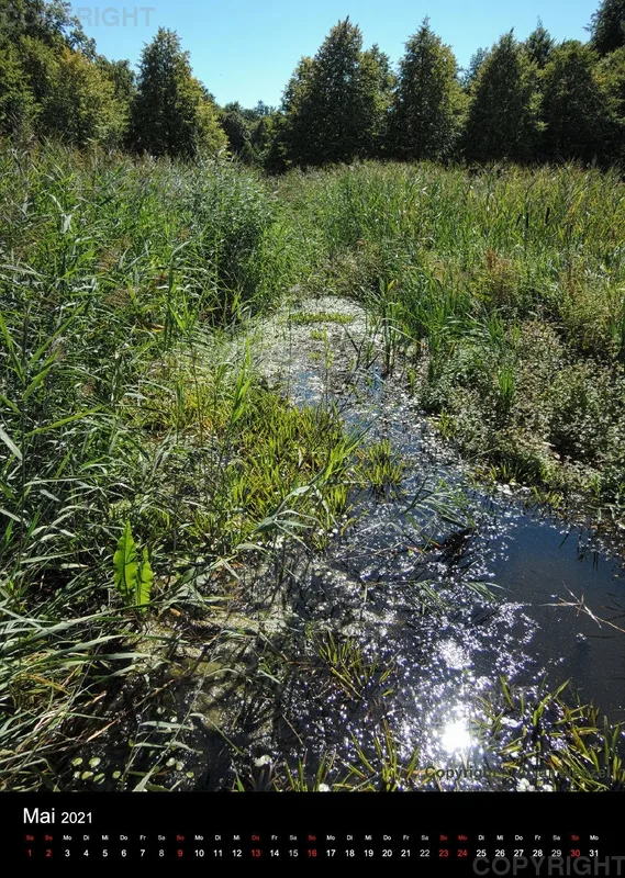 Rheinsberg Hochformat 2021 (Deutsch)