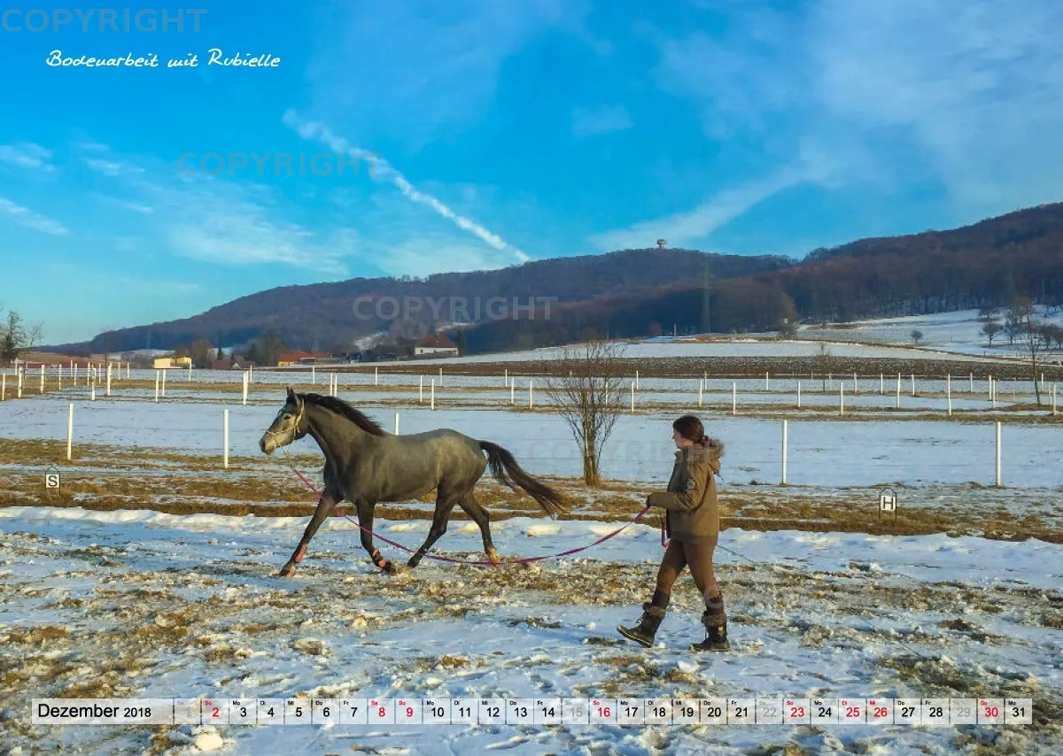 Wandkalender Rubielle 2018