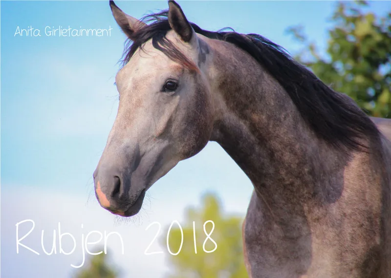 Wandkalender Rubjen 2018