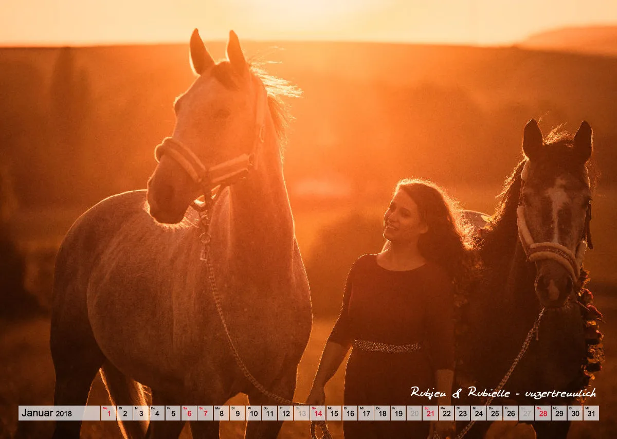 Wandkalender Rubjen 2018