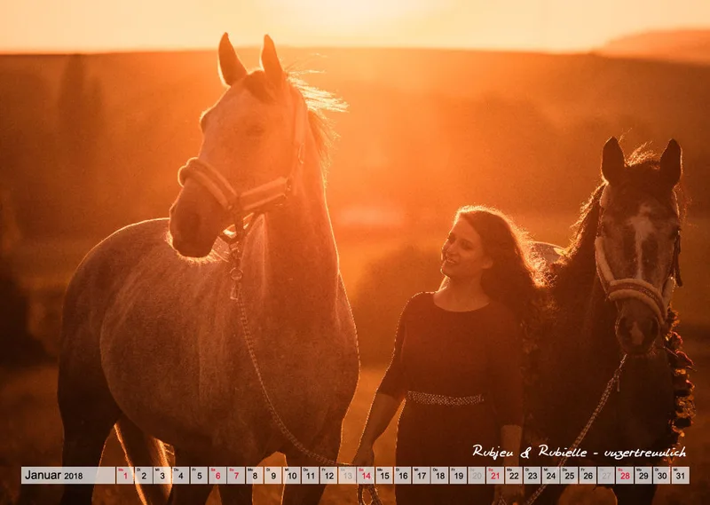 Wandkalender Rubjen 2018