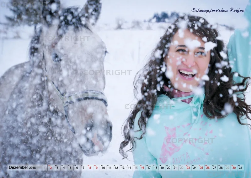 Wandkalender ANITA GIRLIETAINMENT 2018