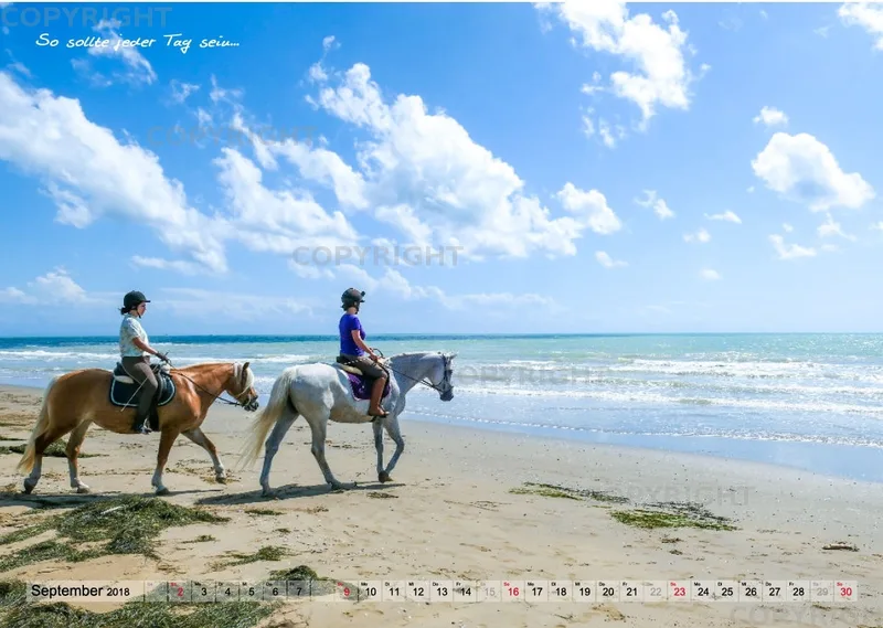 Wandkalender Escada 2018