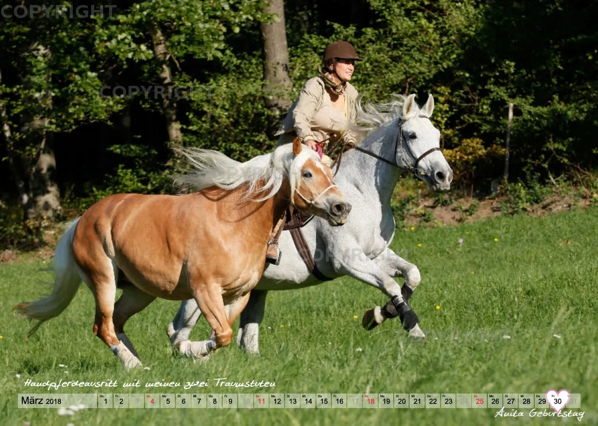 Wandkalender ANITA GIRLIETAINMENT 2018