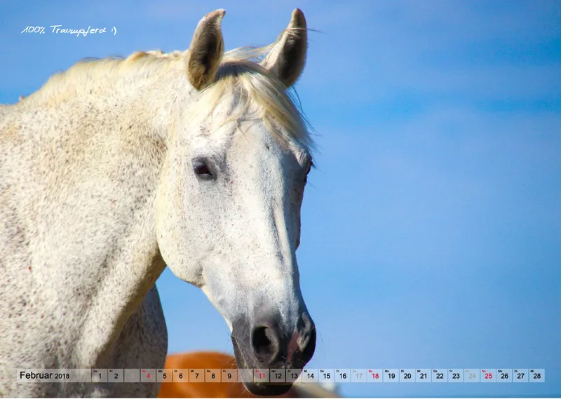 Wandkalender Rubineska 2018