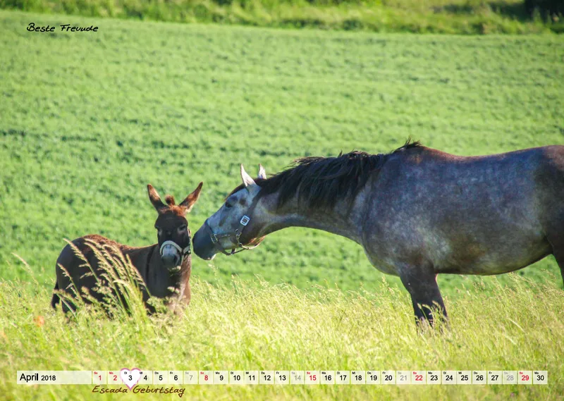 Wandkalender Rubjen 2018