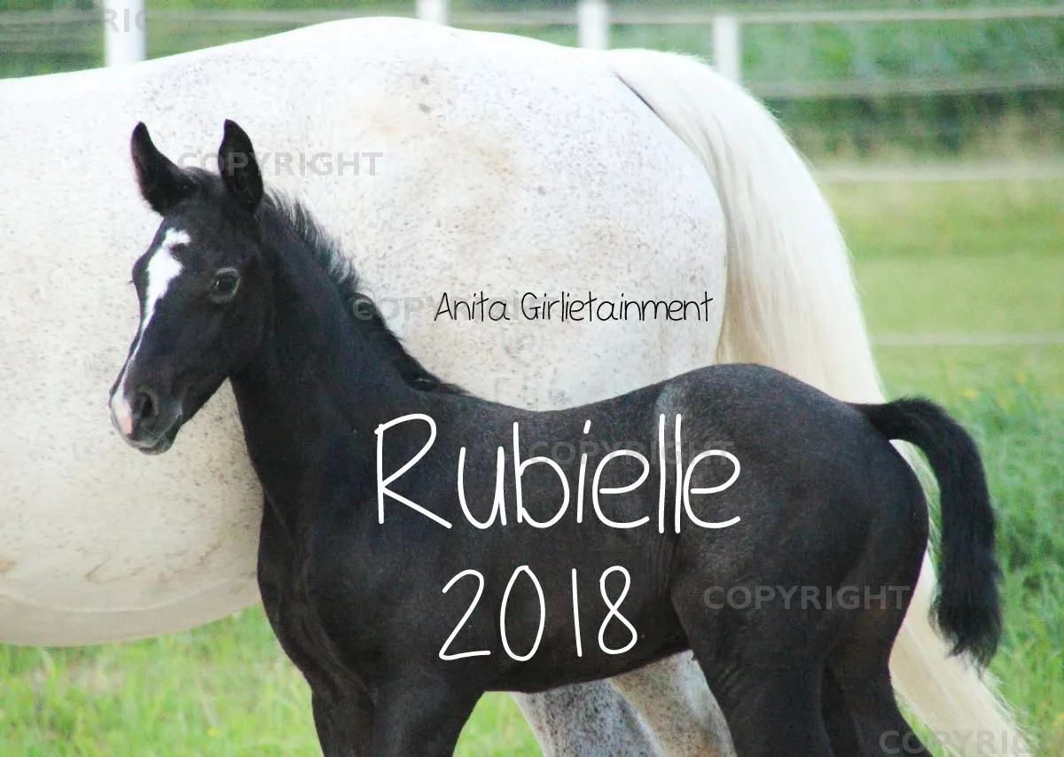 Wandkalender Rubielle 2018