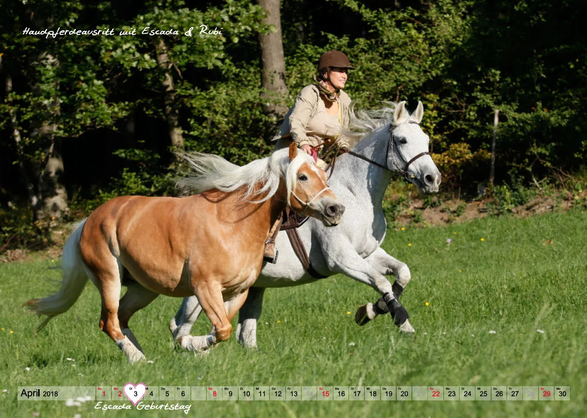 Wandkalender Rubineska 2018
