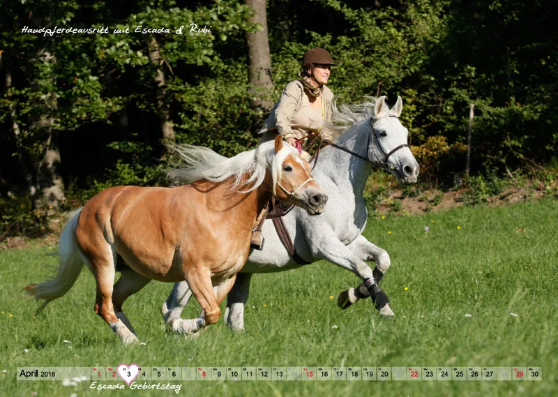 Wandkalender Rubineska 2018
