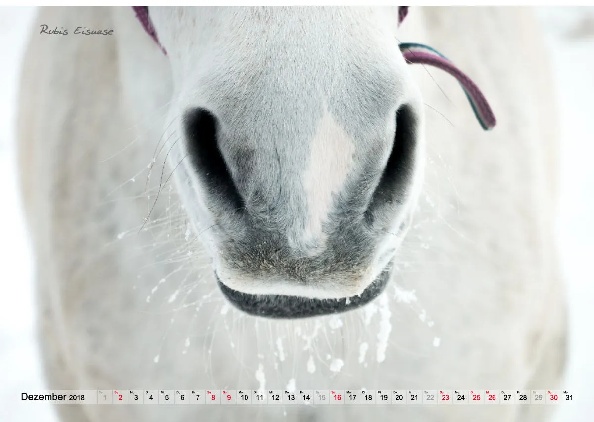Wandkalender Rubineska 2018