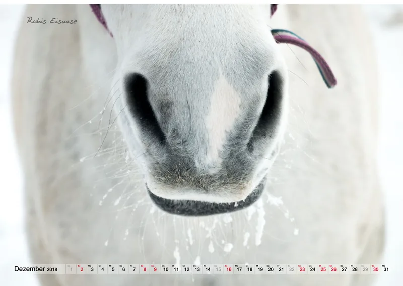 Wandkalender Rubineska 2018