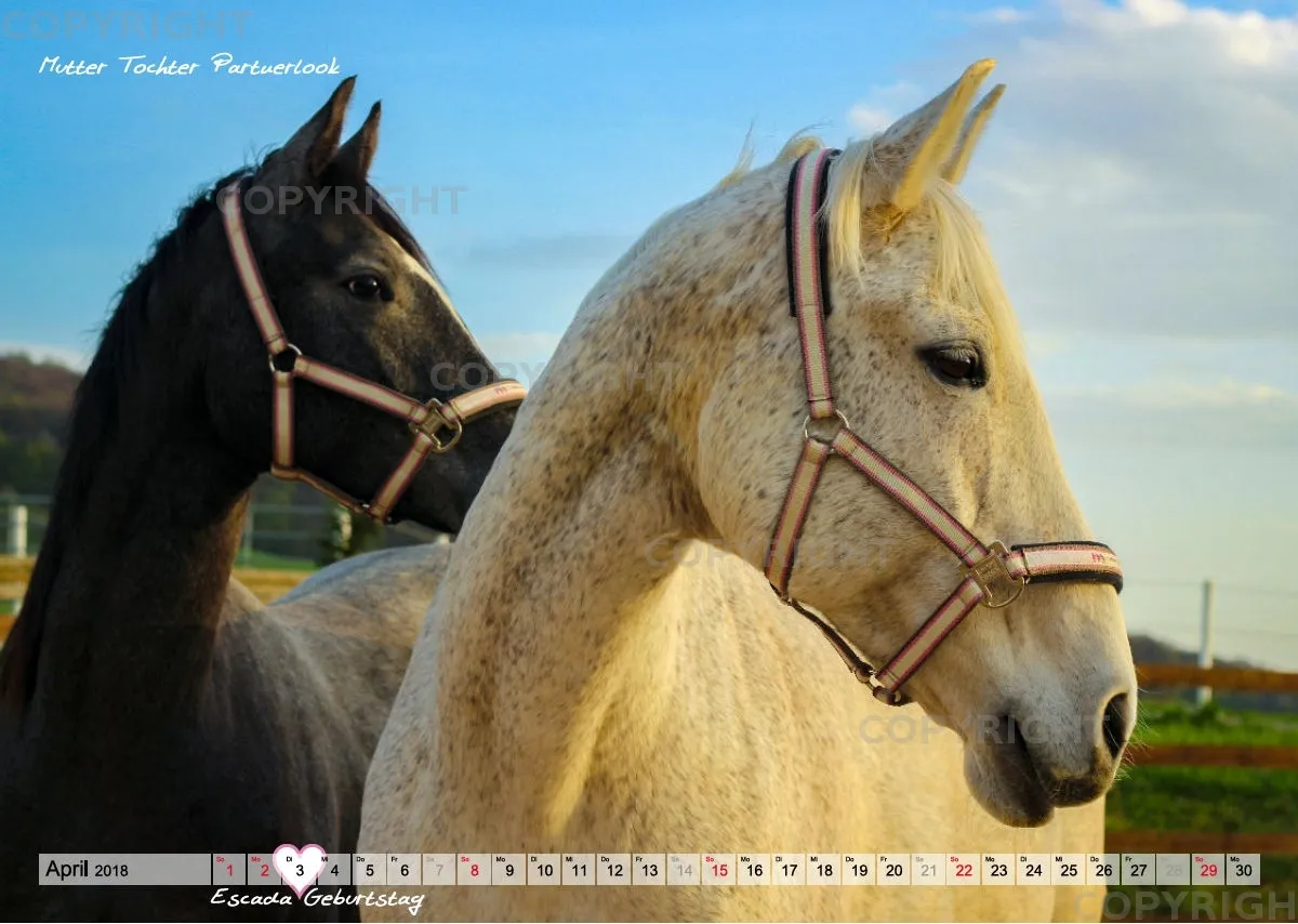 Wandkalender Rubielle 2018