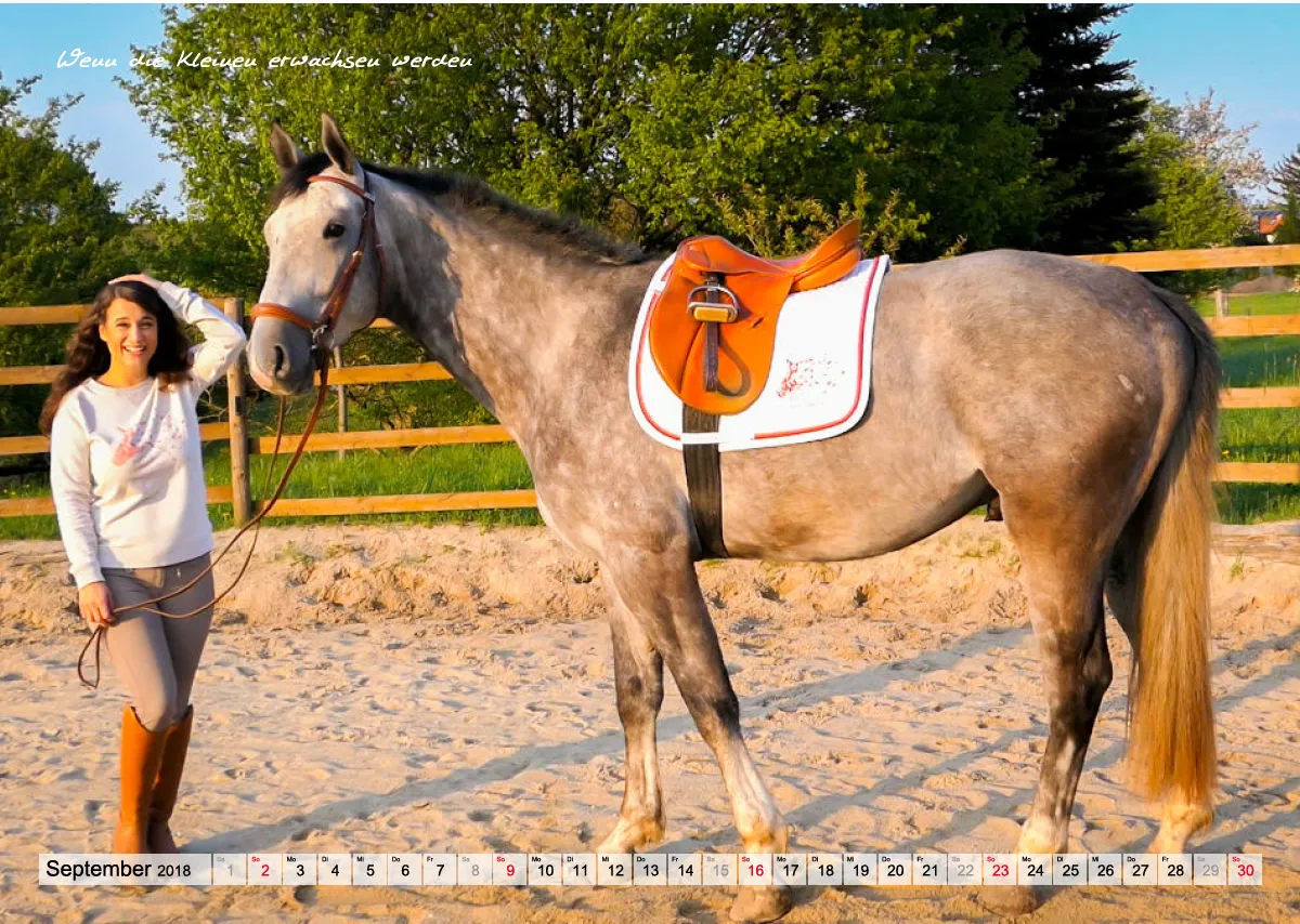 Wandkalender Rubjen 2018