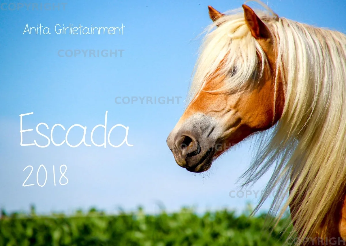 Wandkalender Escada 2018