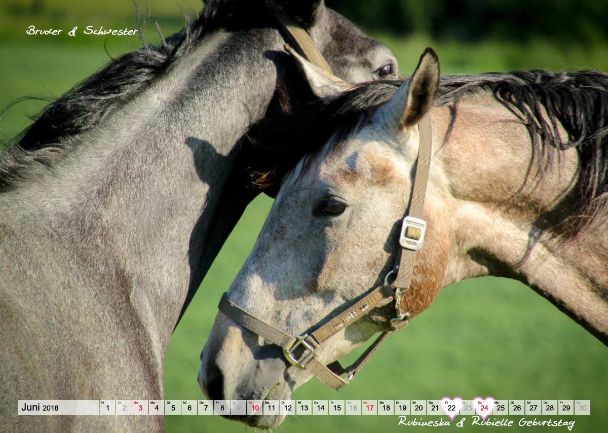 Wandkalender Rubjen 2018