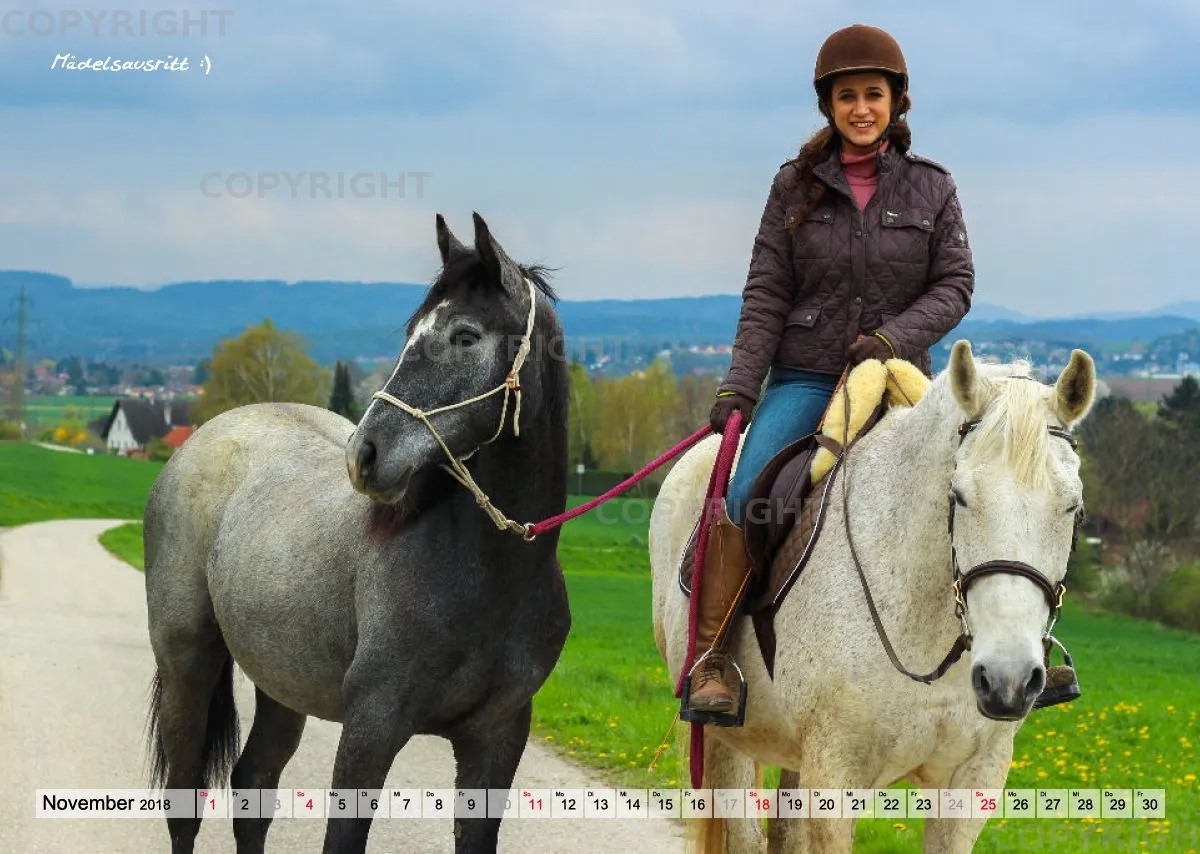 Wandkalender Rubielle 2018