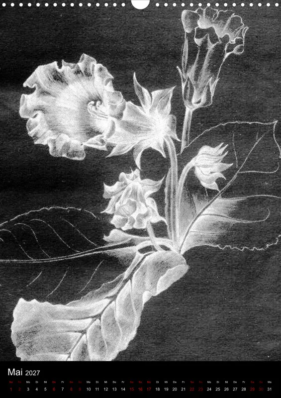 Fleures Noires(