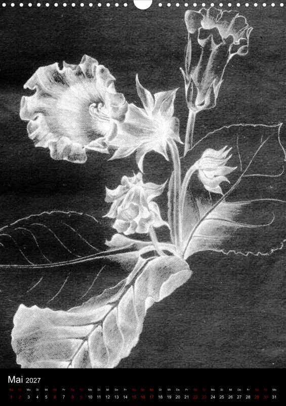 Fleures Noires(