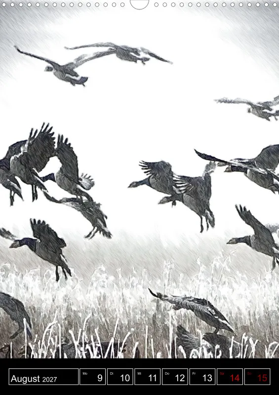 des oiseaux