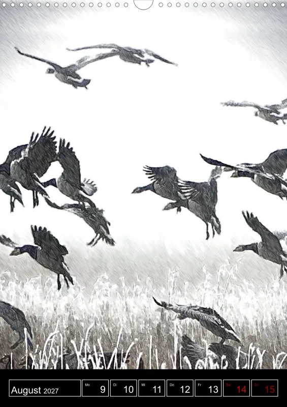 des oiseaux