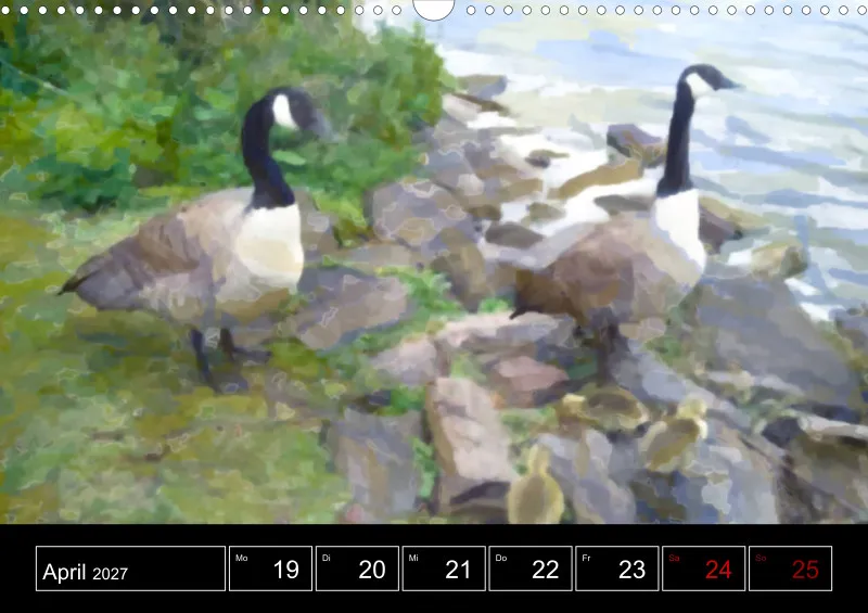 Scottish Wildlife