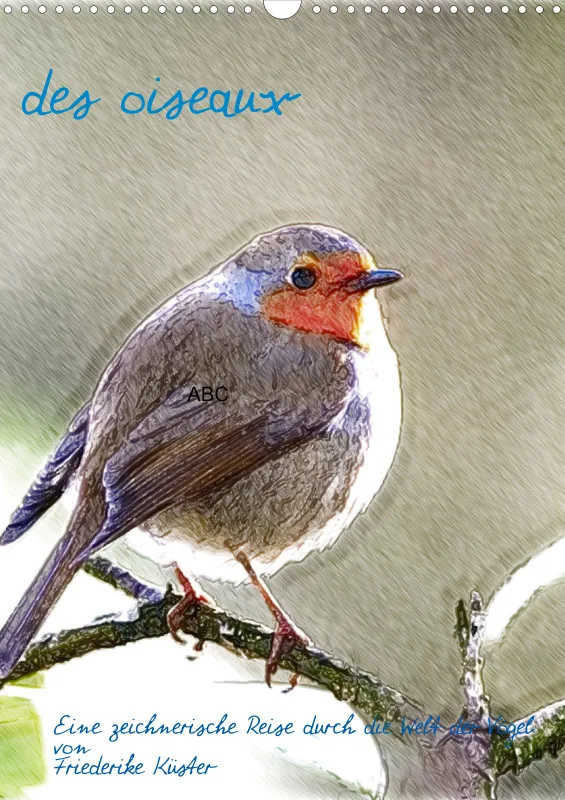 des oiseaux
