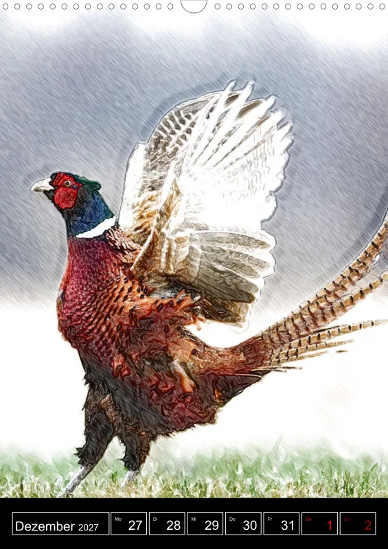 des oiseaux