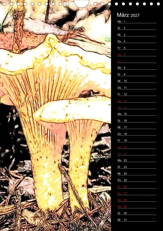 Champignons