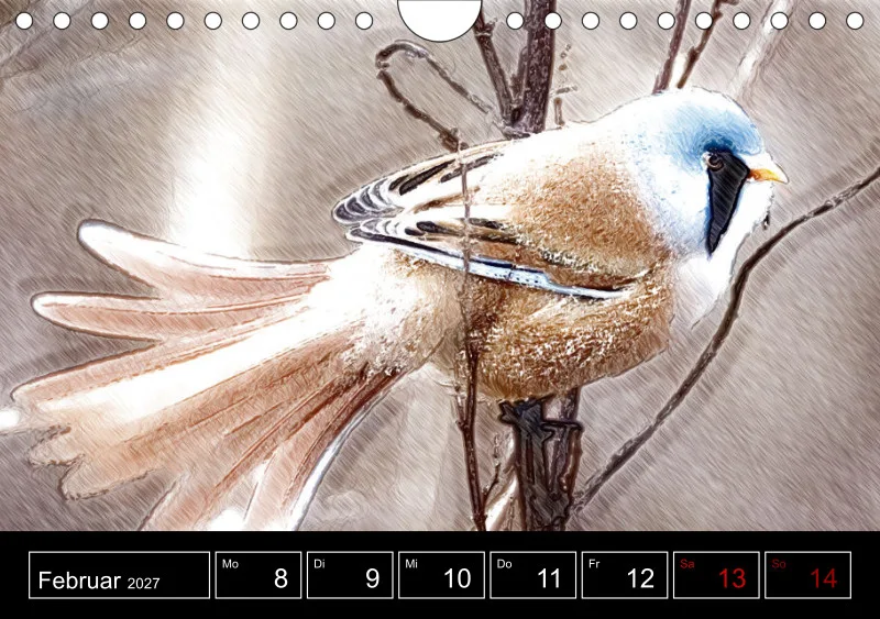 des oiseaux