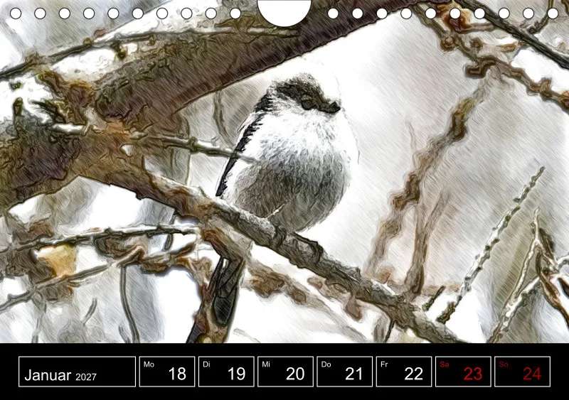 des oiseaux
