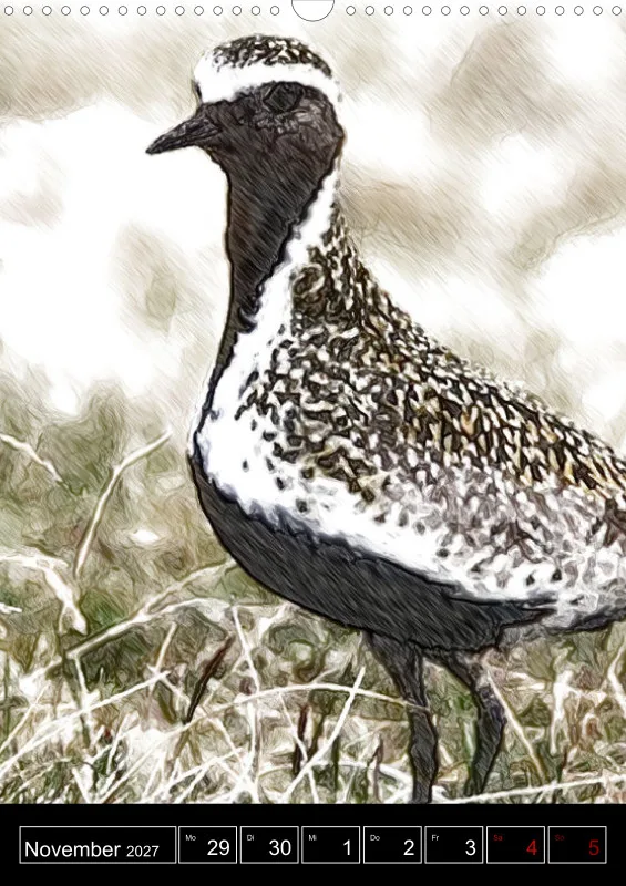 des oiseaux