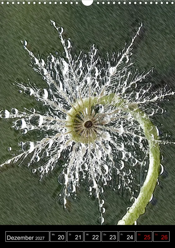 La fleur