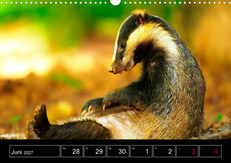Animaux d'Europe